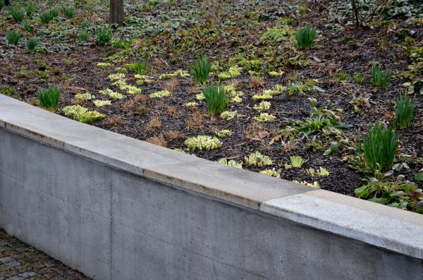 Cost of Concrete Wall Construction in Lehi