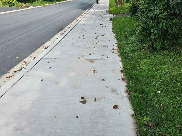 Cost of Sidewalk Renovation in Lehi