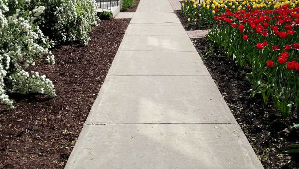 Cost of Cement Sidewalk Installation in Lehi