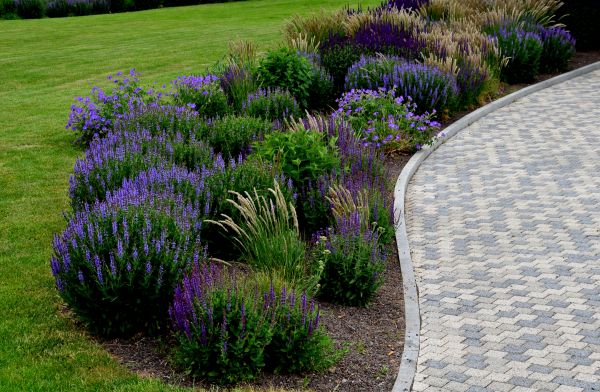 Cost of Sidewalk Curb Installation in Lehi